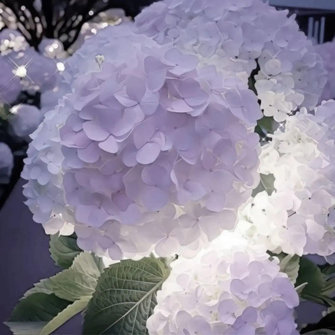Kanae_074의 帰ってきて