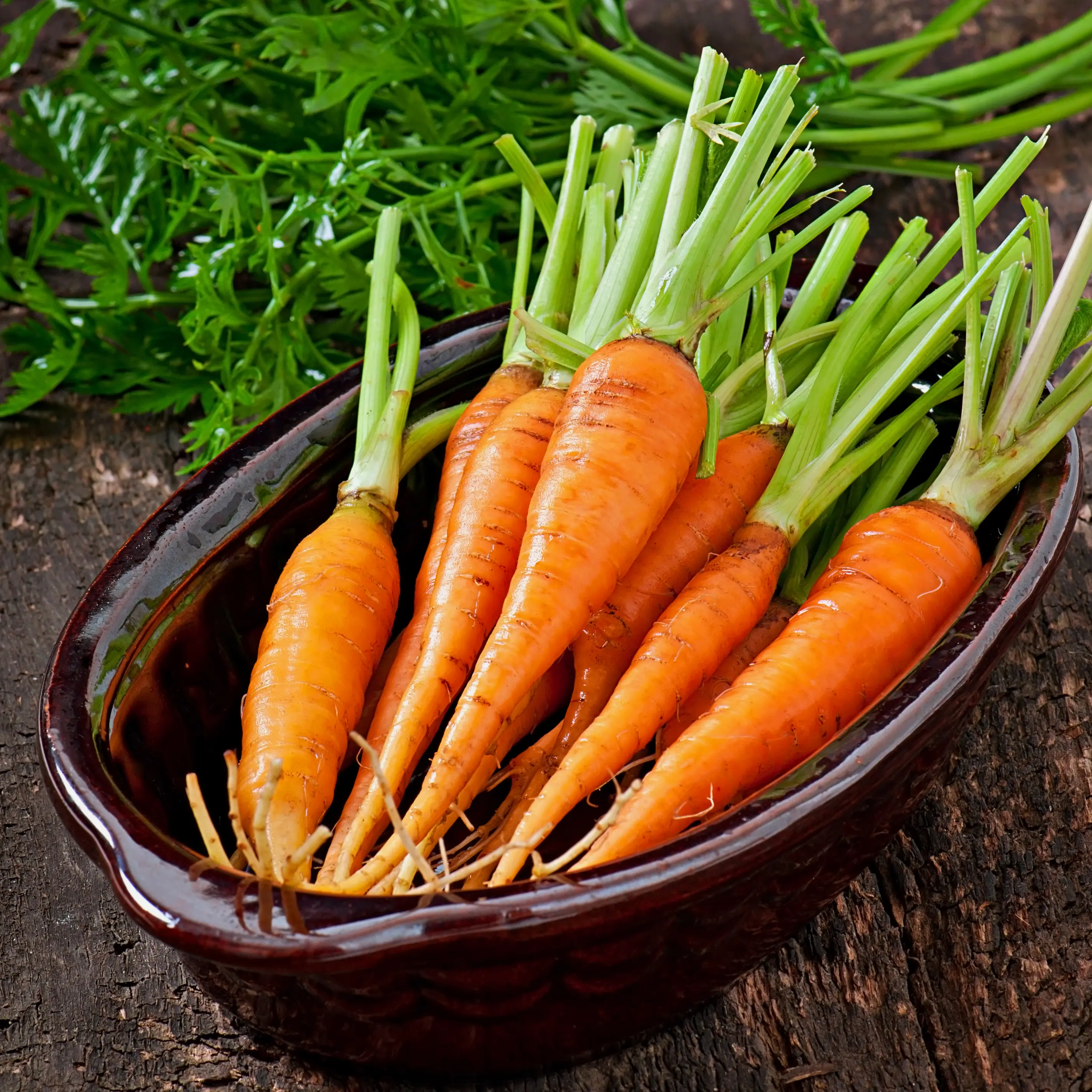 name-name-name의 당근