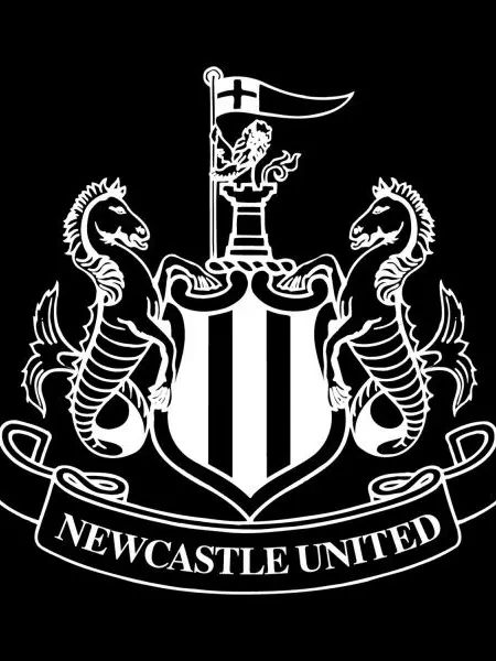 TOTTENHAM.HOTSPUR의 TOON: Newcastle Normalization