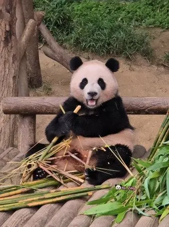 estp10987의 푸 길들이기