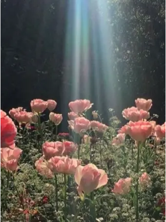 ExpertPasta5199의 2p 뜰팁×2p 팀샐.