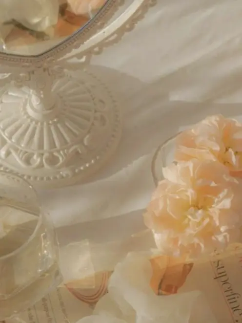 knt_hbr_zeffiro의 モテモテのルームメイト