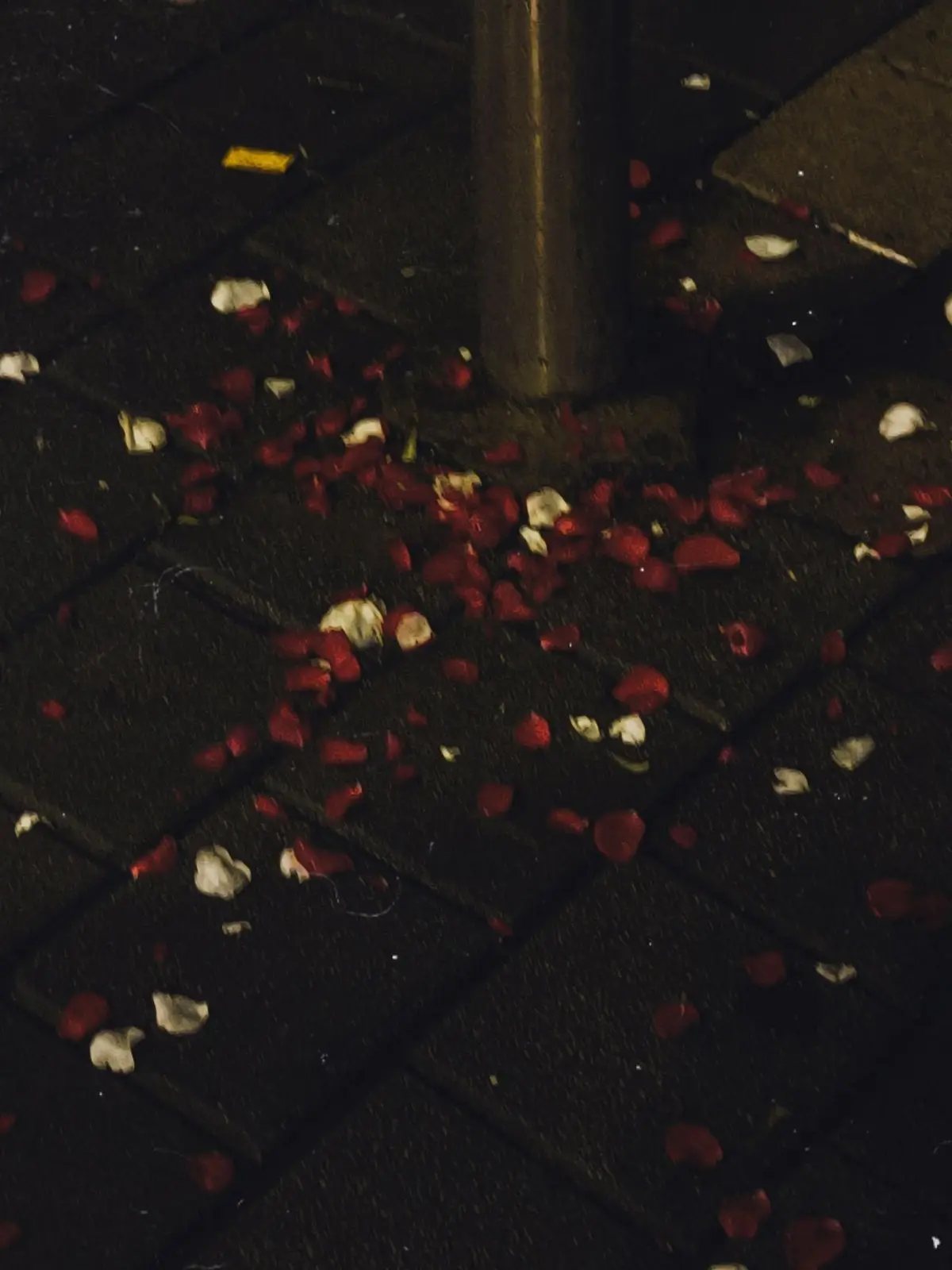 charkack의 The Bottom of Youth