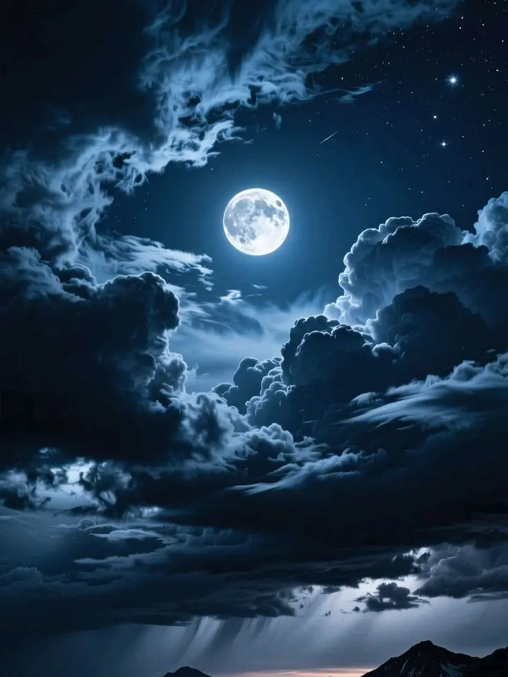 StumpyTie3956의 忠誠心の強いやさしい子犬 [ 鶴蝶 ]