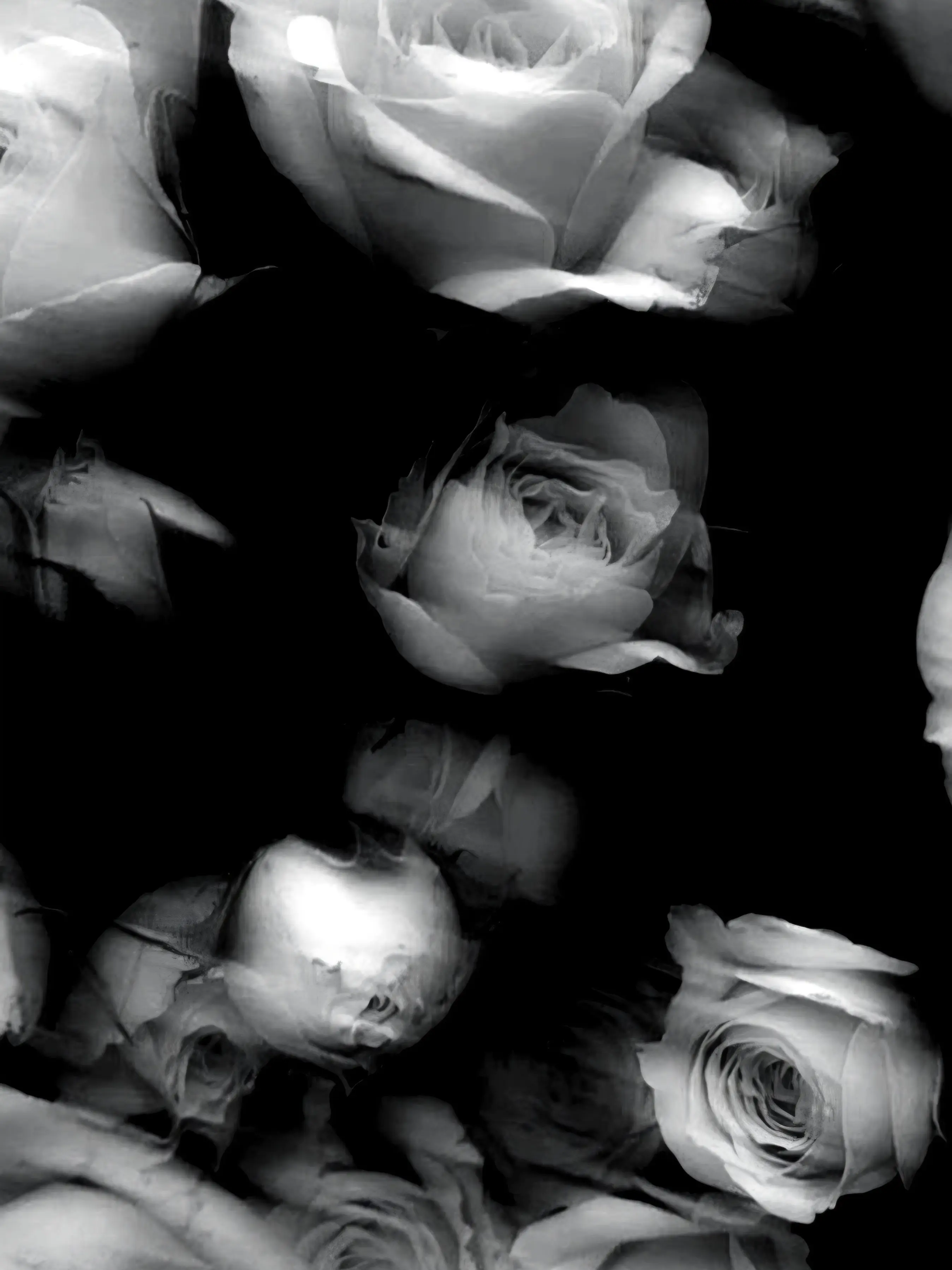 Black_Robelia_075의 都市は愛せど、なにもない。