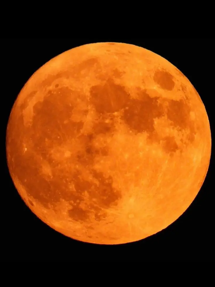 Shibalomdura의 Orange moon