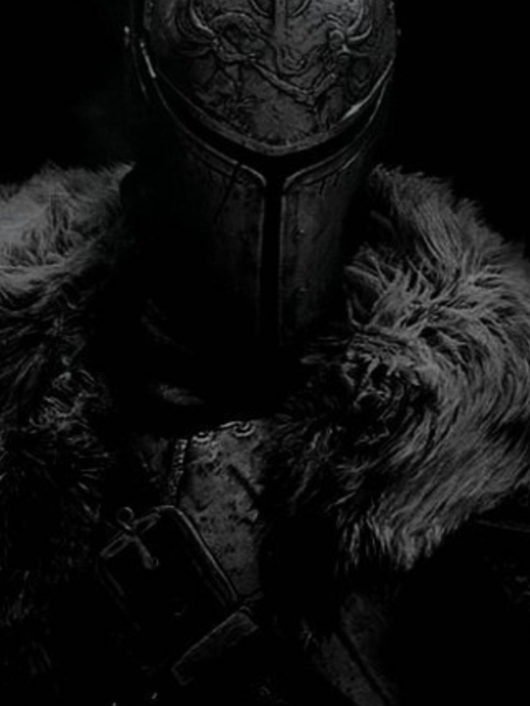 The knight 대표 이미지