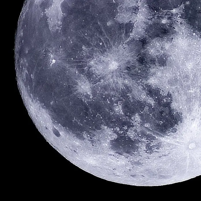 WarmSkua6272의 色漢