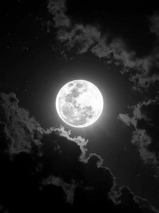 WarmSkua6272의 色漢