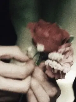 DearClock2907의 Coriolanus Snow