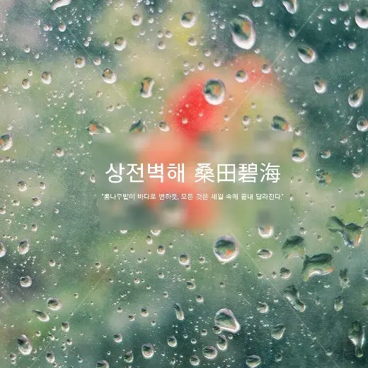 rua_icn의 상전벽해 (桑田碧海)