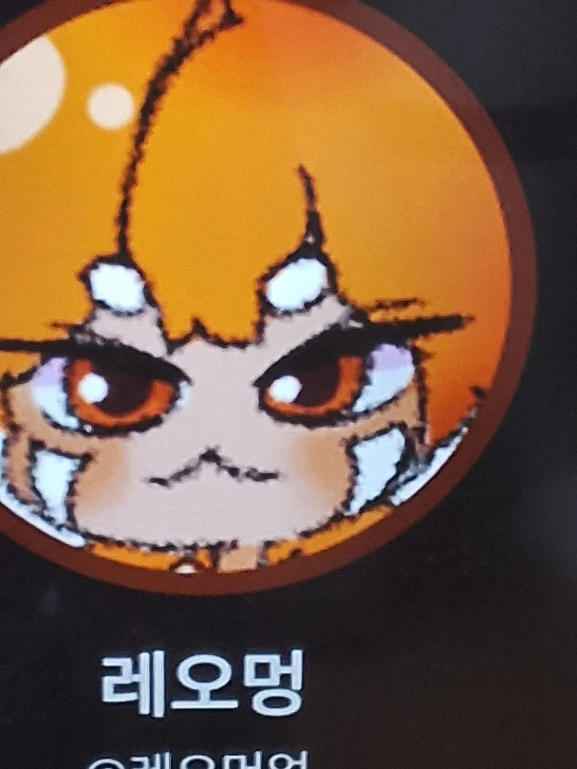 Arcticwolf8282의 개환장파티 바다아니면 산?