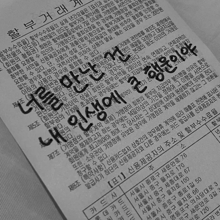 YoungBaiji8506의 놀러 오는 유일한 친구