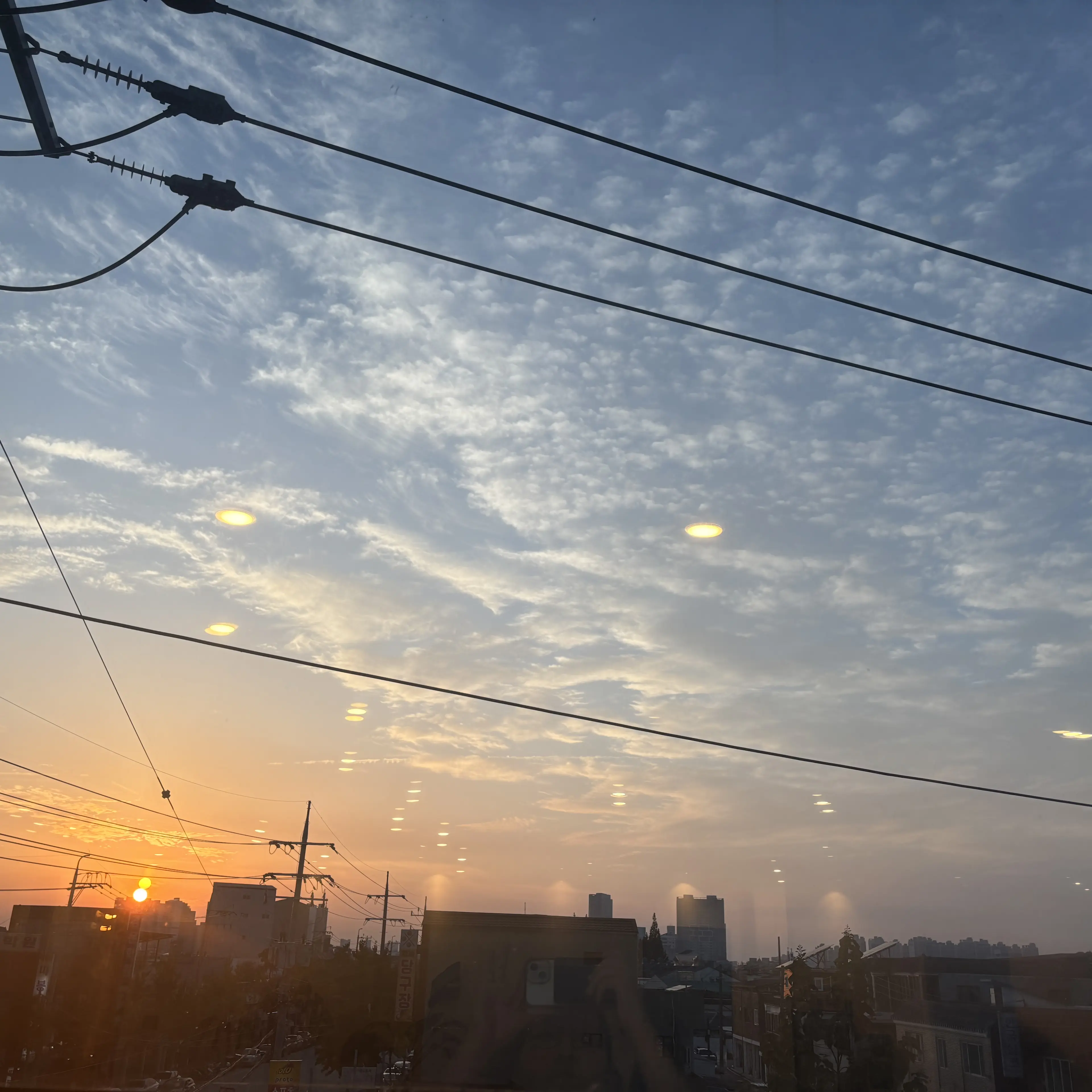 20is의 뜰팁(조립식가족)