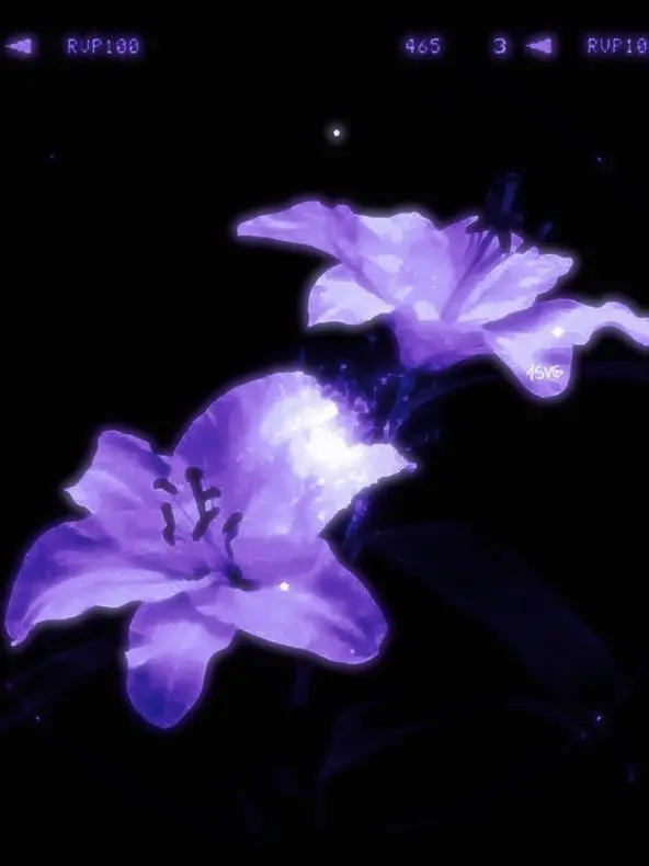 mylovehptgrm의 0107