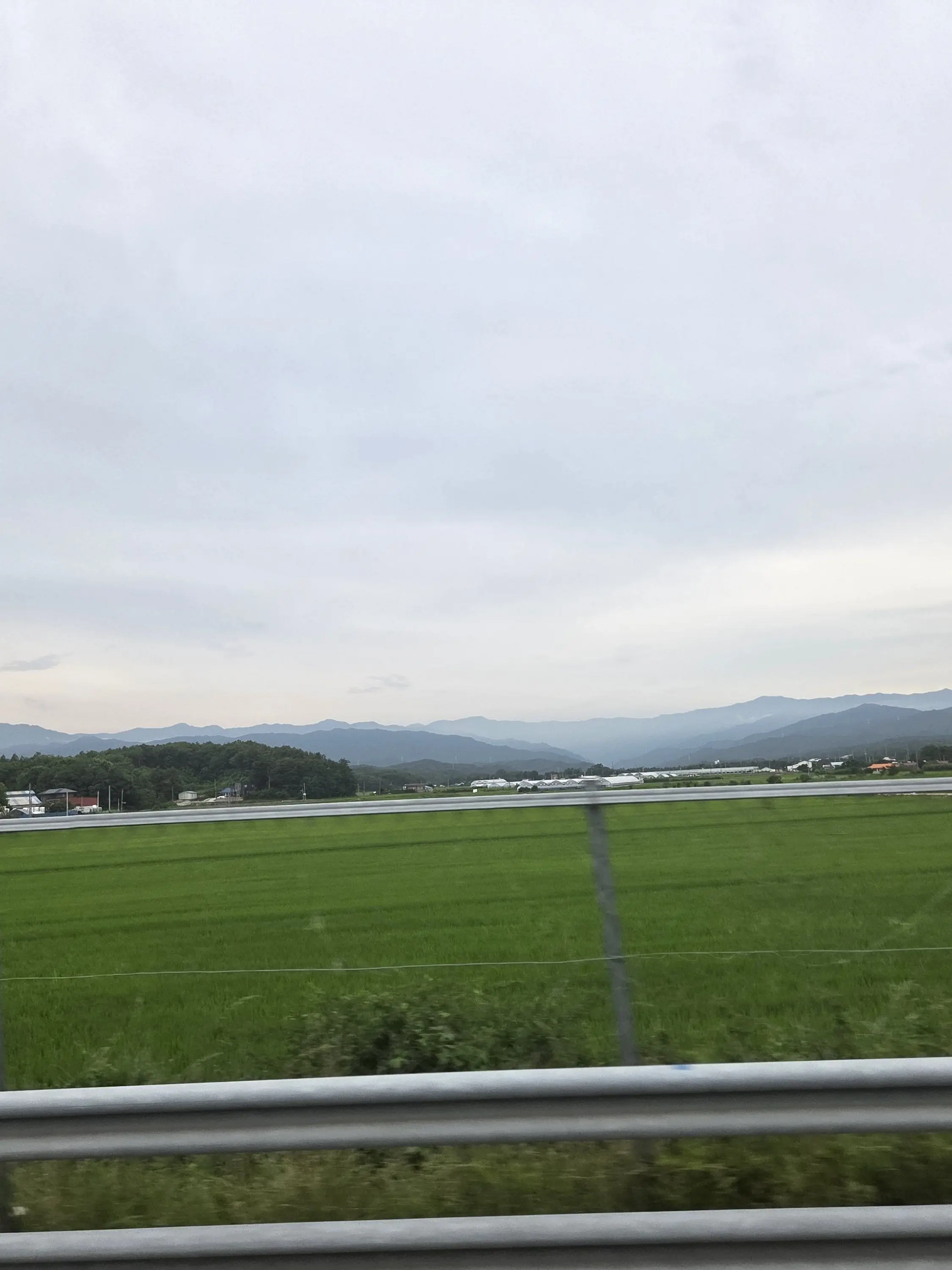 Daengbo_Cheongmyeong의 언제 이렇게 다 큰거야 그것도 나보다