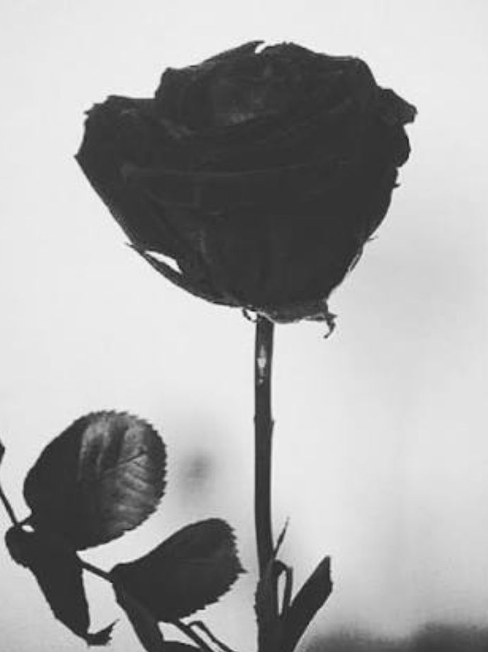 미수반 용의자 대표 이미지