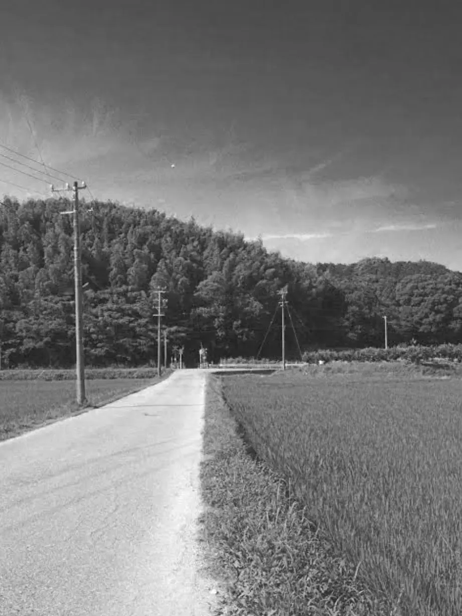 TUNAMAYO_ONIGIRI의 Blue, Blue Sky