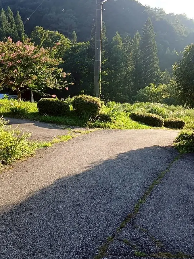 PomegranateisChikuwa의 ヤク中×DVのカナダ