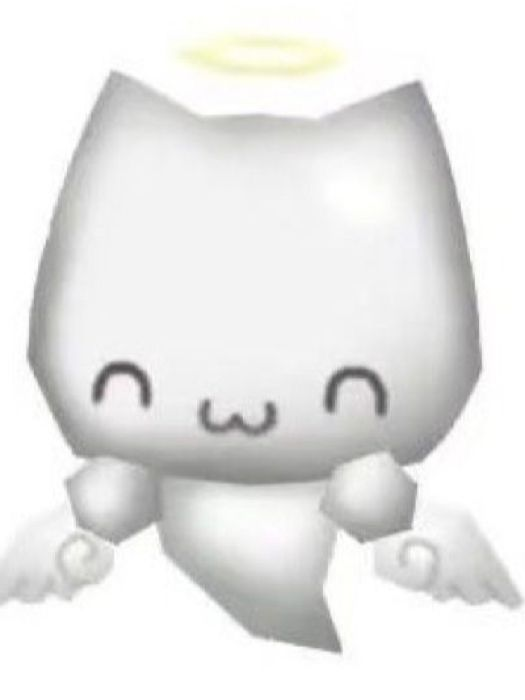 박덕개 대표 이미지