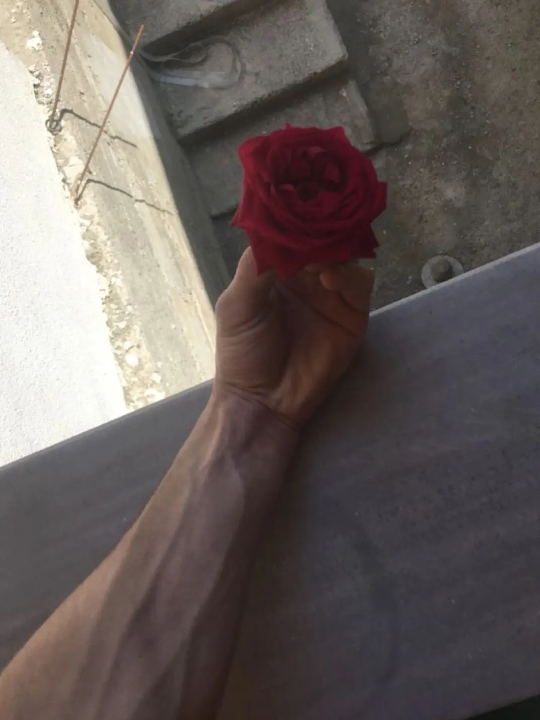 Sel100781의 🌹