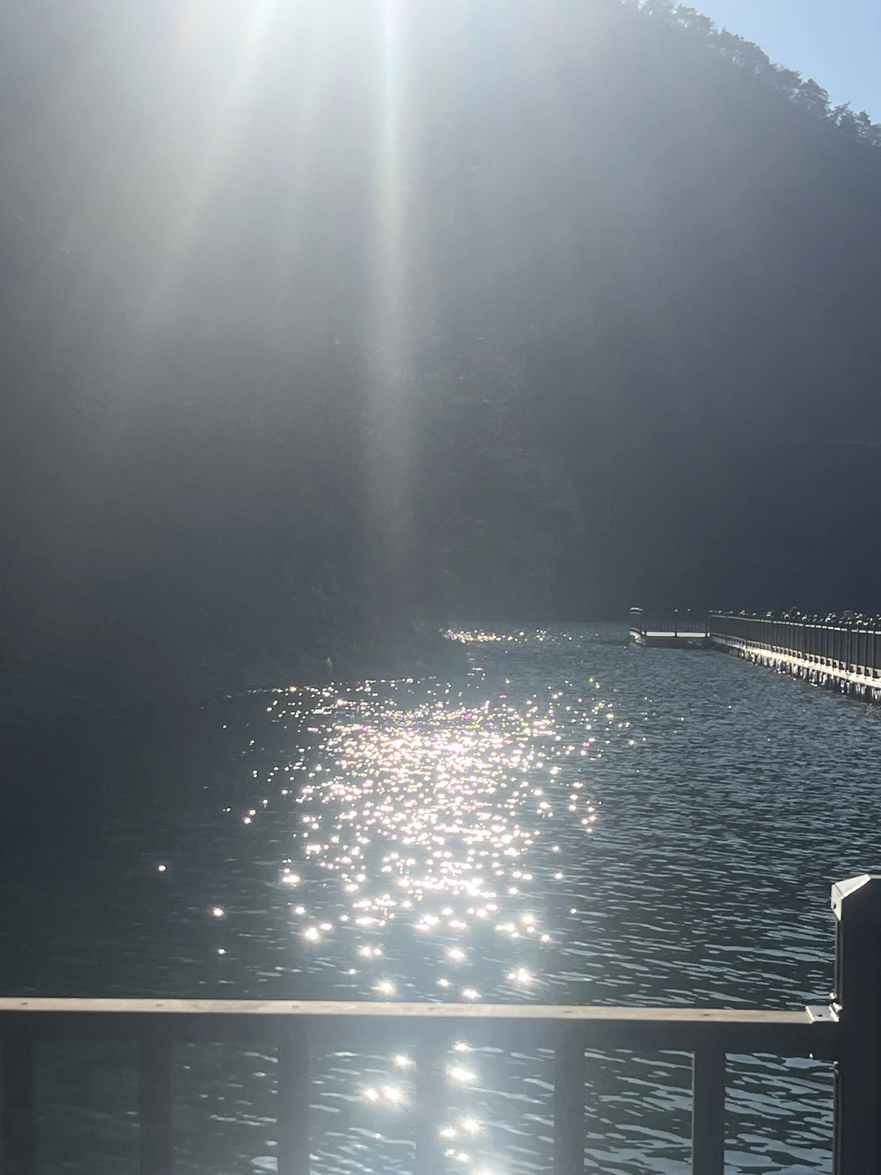 WindyBrush2074의 김된모