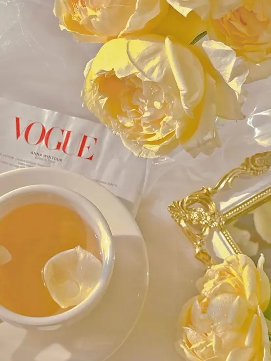 Knmc.t_0822의 ストーカー緋八