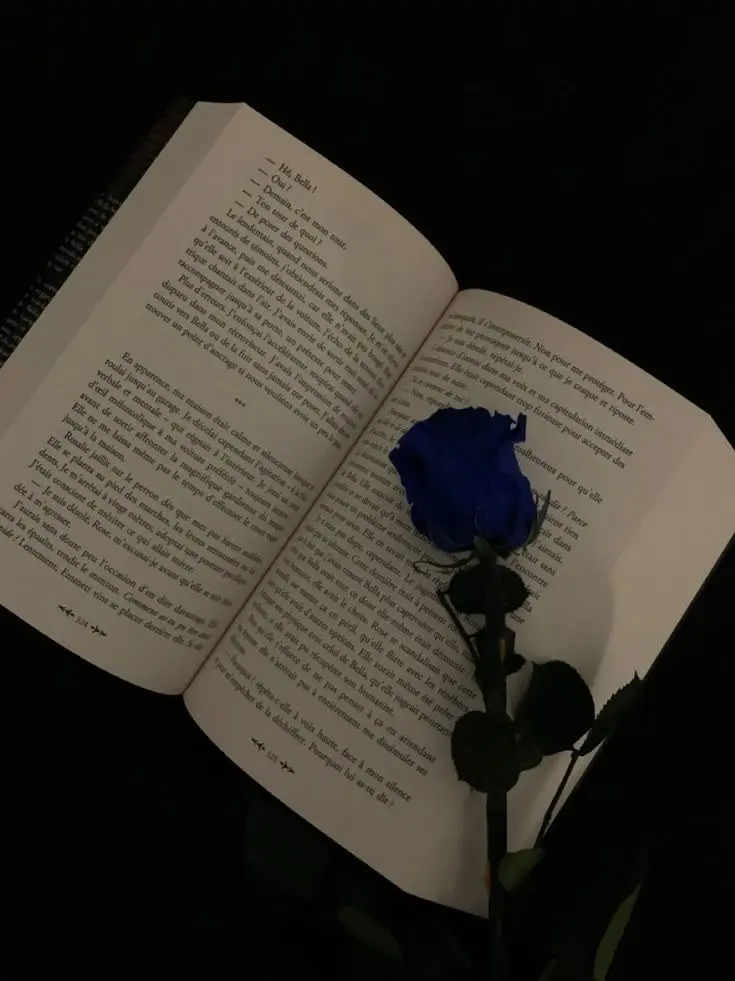 e_0om의 비속에서 처음 본 순간.