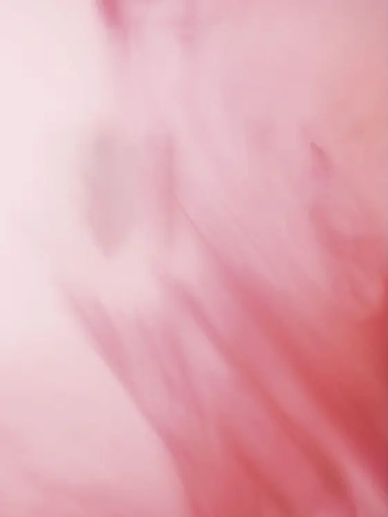 decadent.romantic의 ­­ ­­