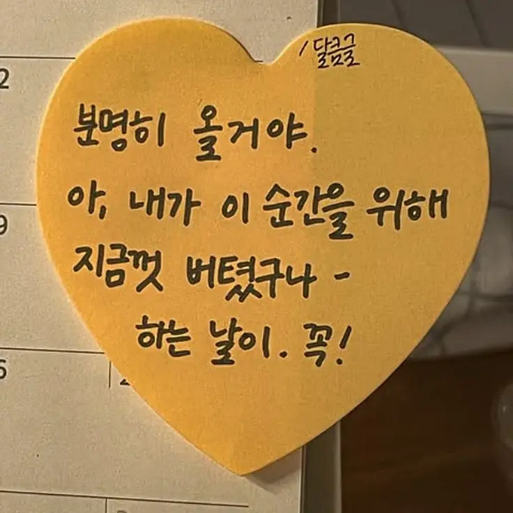 DirectCodec2233의 ... 와 이리 예쁘노.