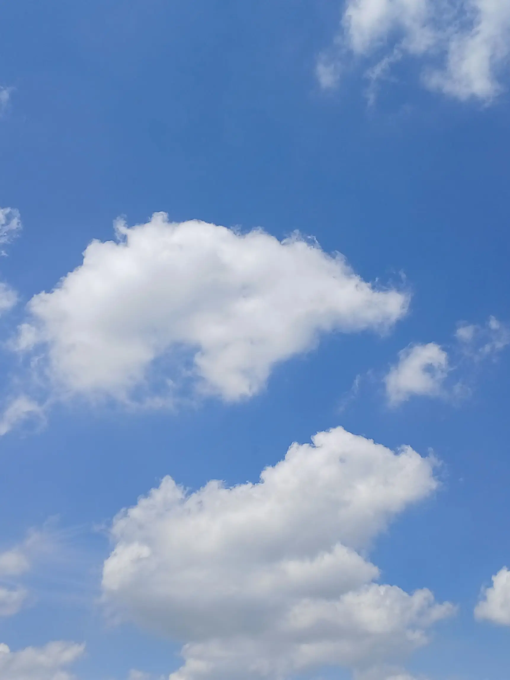 dreams_cat의 잠뜰경위의 친언니