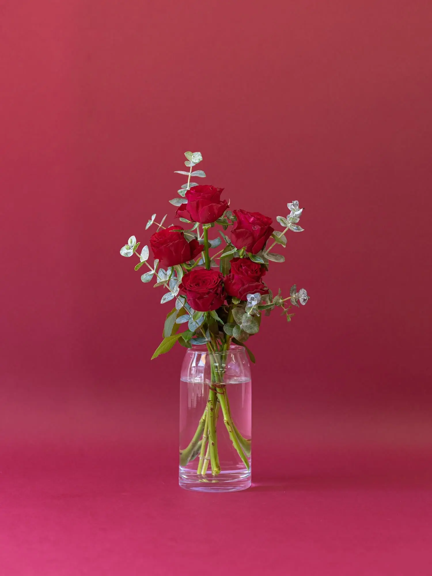 Kemuri_777_의 『ローレンの成長記録   1冊目』