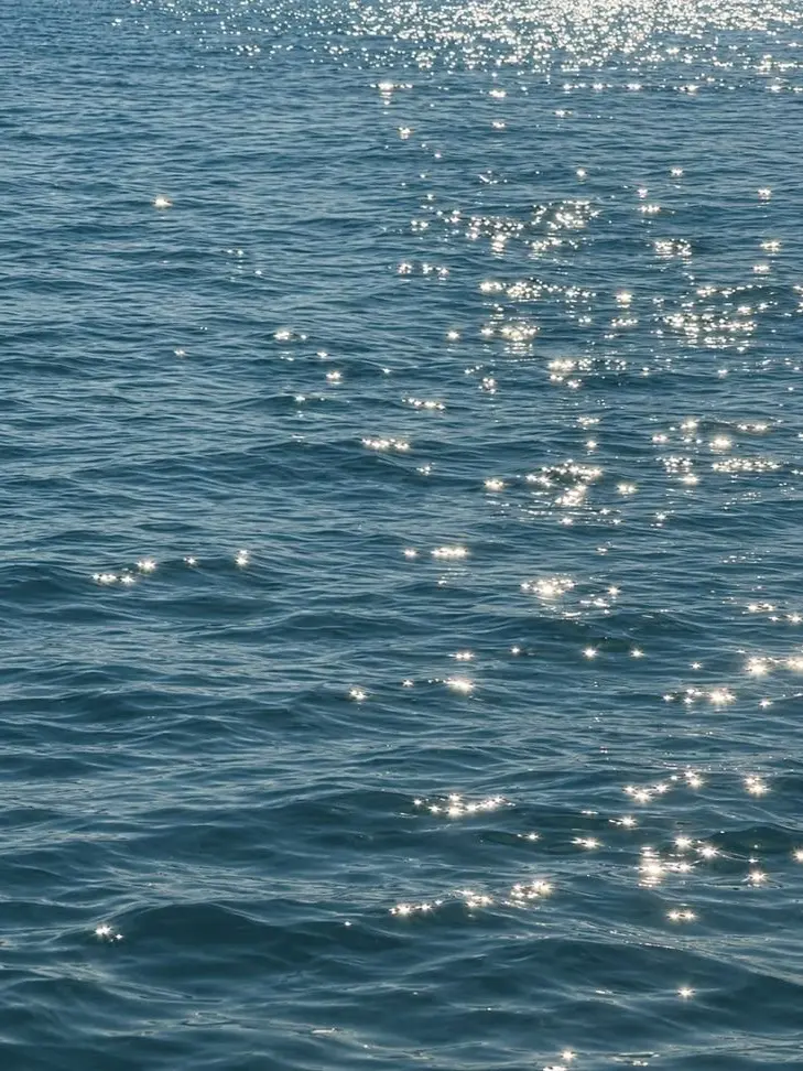 FussyMonth9070의 UNDER THE SEA