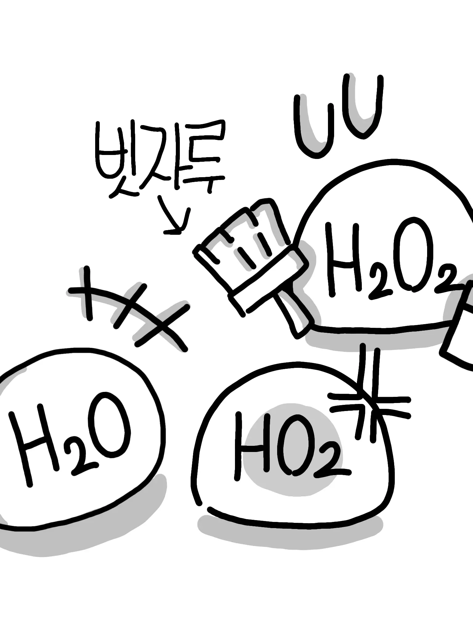 PutridReef5800의 이름에 H와 O가 들어간 친구들