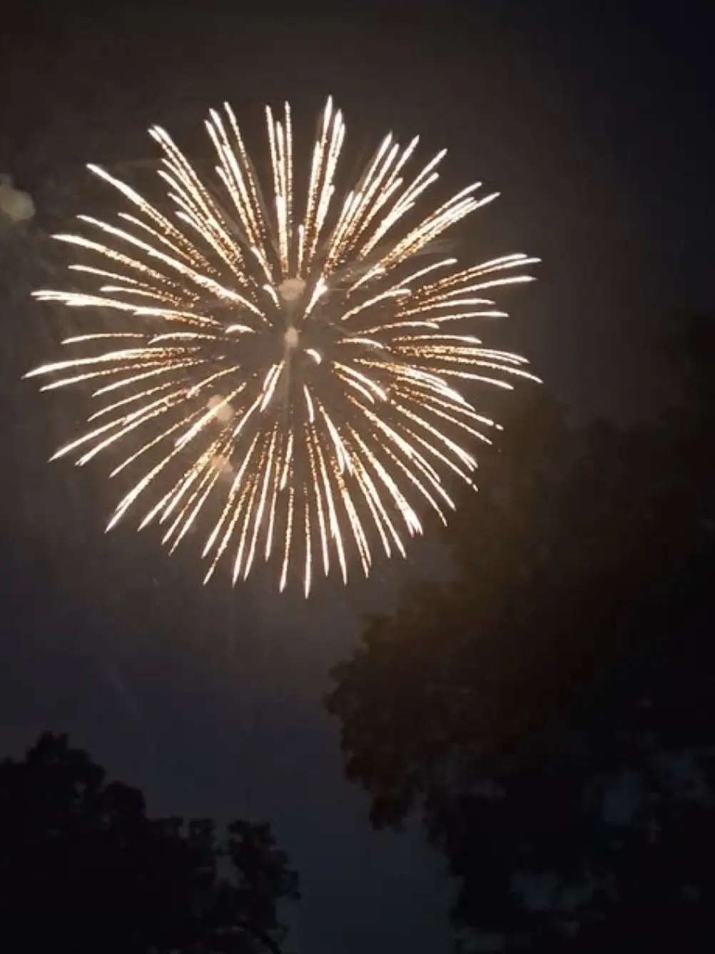 ChillyChild7378의 The boy at the firework show