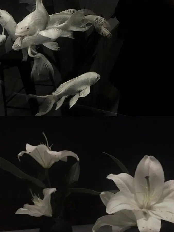 ex.xi__의 .