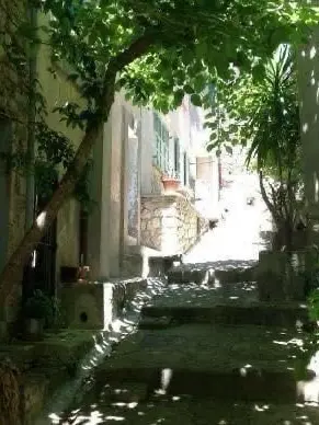 BABY_catchup의 •°. *࿐