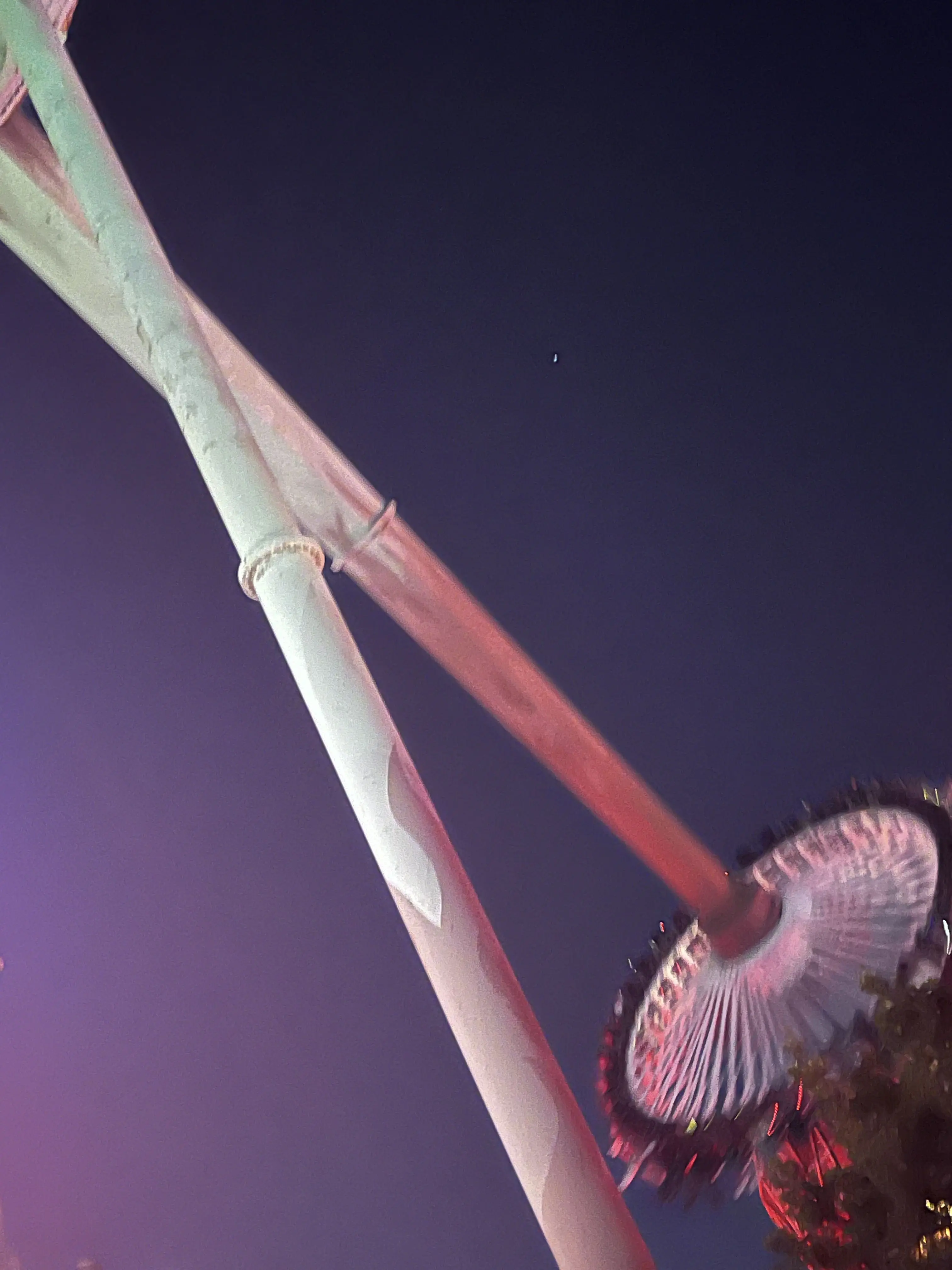 23.zlx.ss의 노리가게