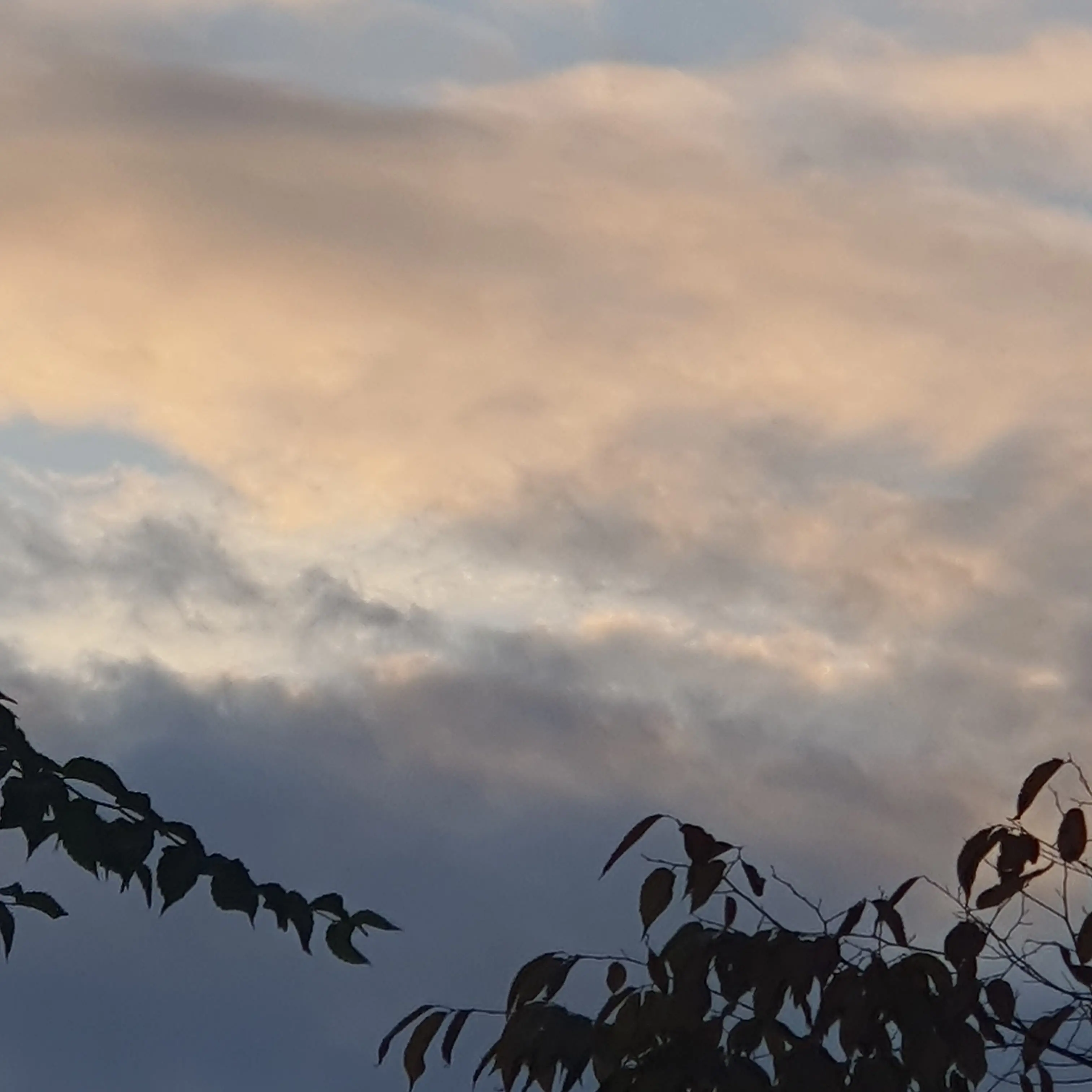 ChubbyCrane2960의 미수반 기존 멤버들이 어려졌다