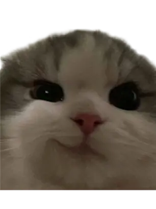 Nemonde의 유튜버 mt.(?)