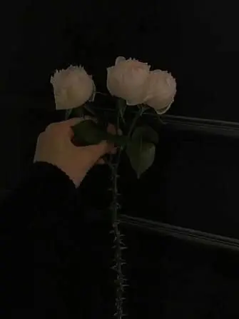 12345_abc의 당신에게 내 모든 걸 바칠테니.