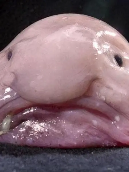 Sssssssssl의 고프 바다 여행