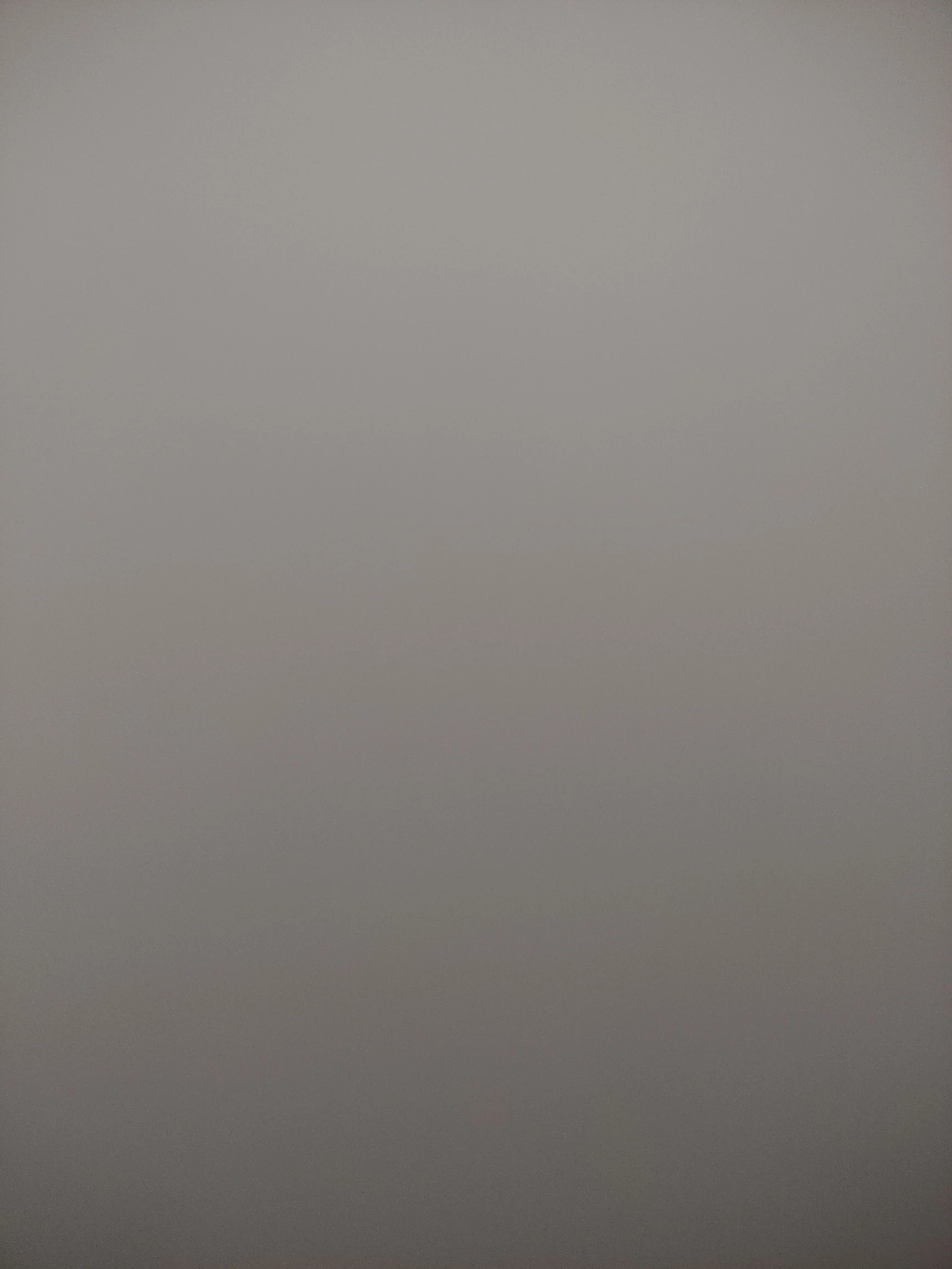 aiueo12323의 触手…？