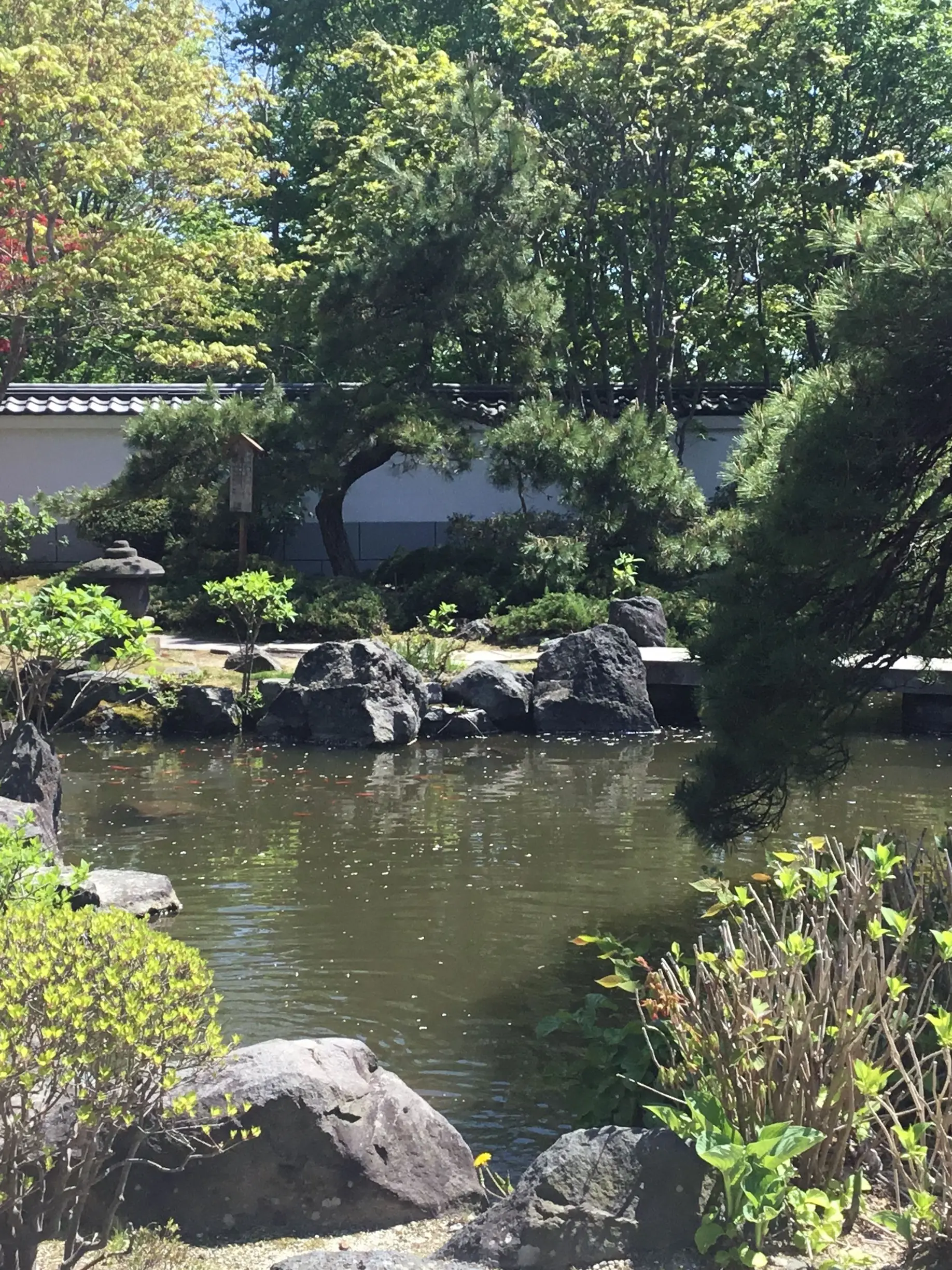 Ryasanhahimadesu의 主がずっと欲しかった奴。
