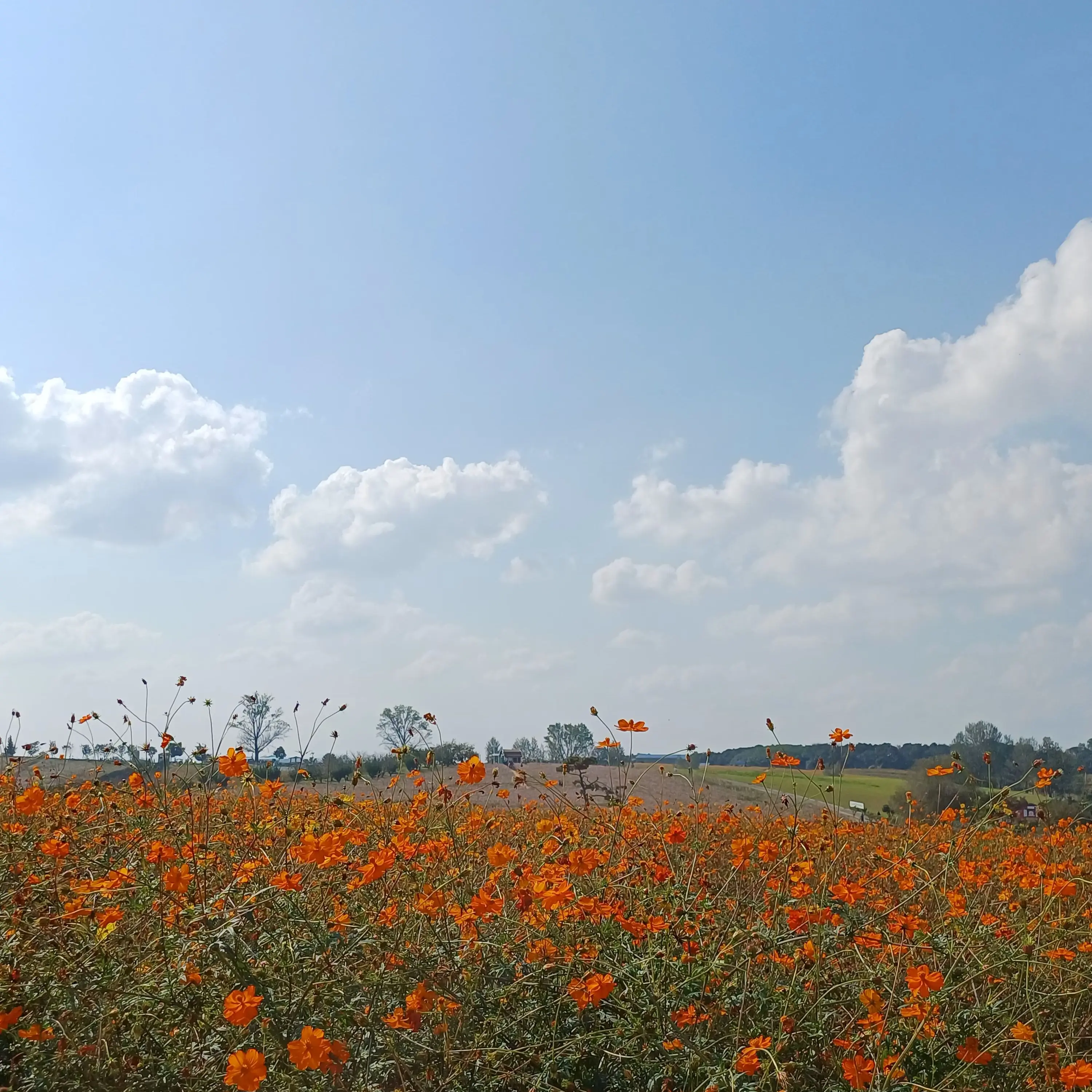 lucky_1101의 유하민