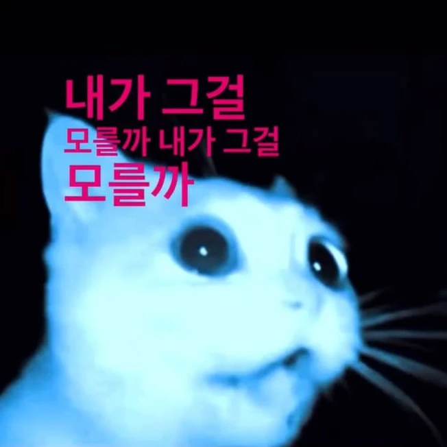 너를 웃게 하는 방법.