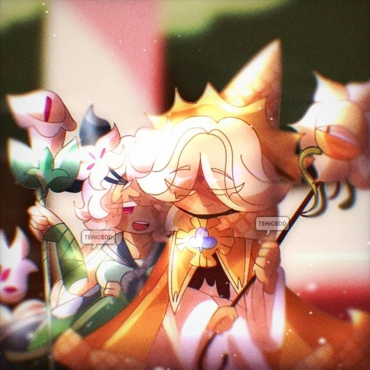 퓹세♡ 상세정보 ㅈㅂ,!!