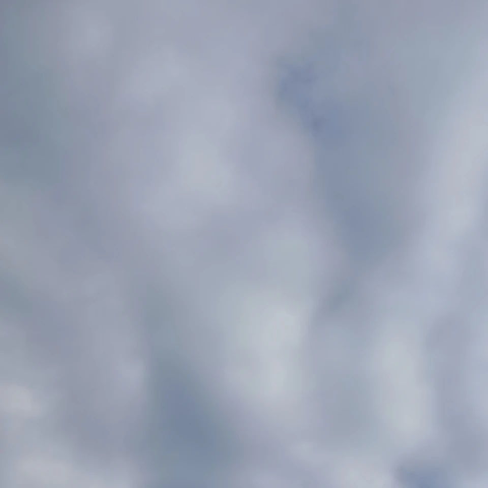 아마존에서 100일 살아남기