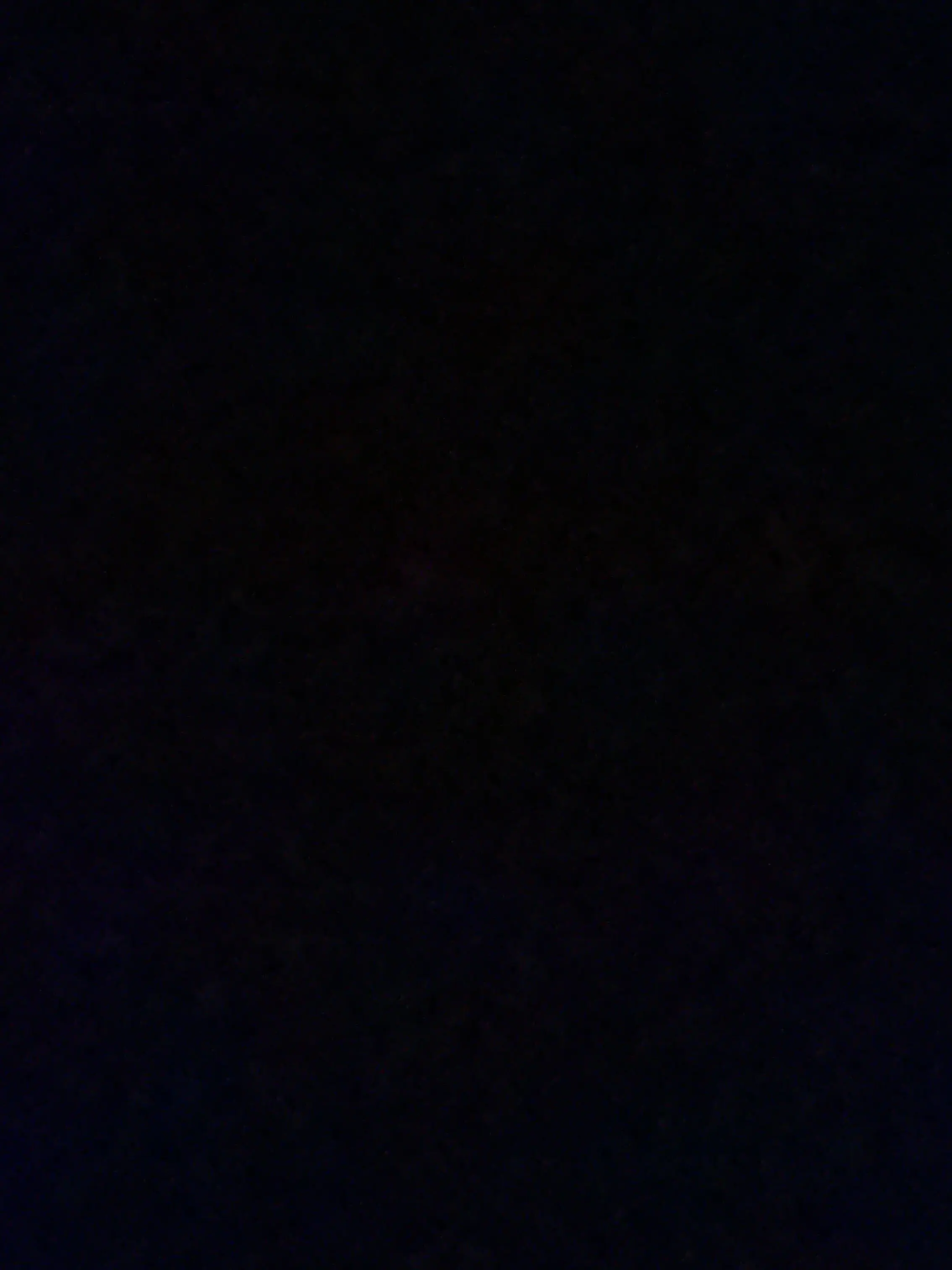 TartTotem4074의 프로듀서