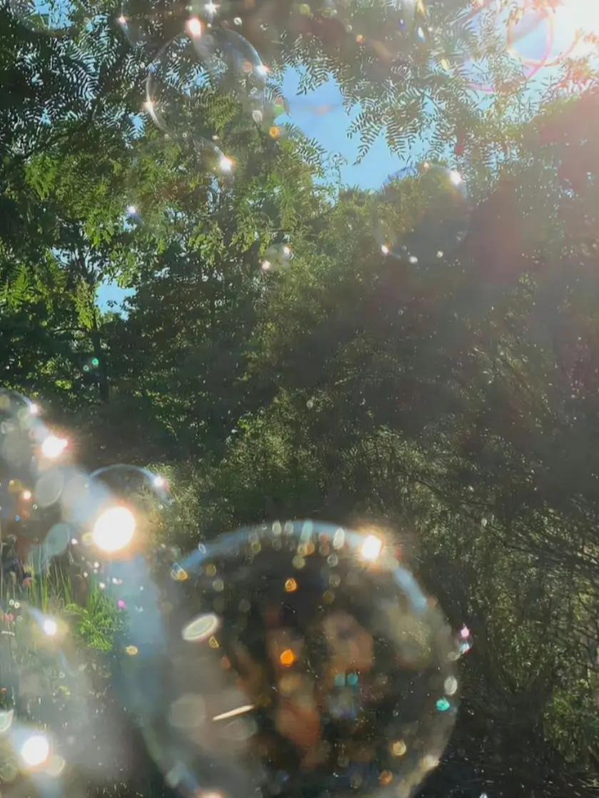 GaudySnack3633의 MT간 MBTI들